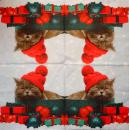 KAT-962 Cats - 3-ply - Paper Design
